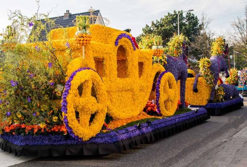 Bate e volta Amsterdam - Keukenhof