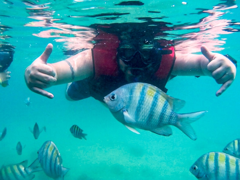 Piscinas Naturais - Porto de Galinhas - Pernambuco - Brasil