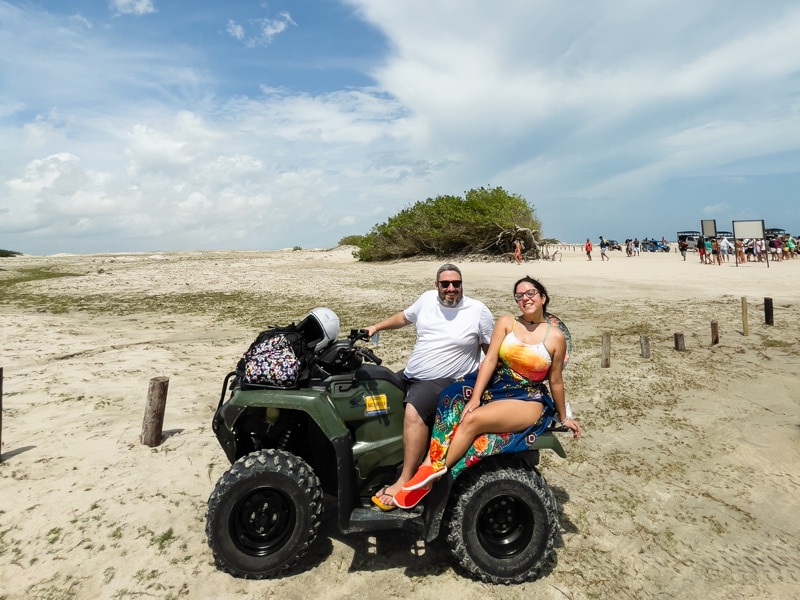 Ávore da preguiça em Jericoacoara