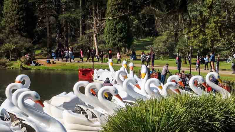 Pedalinhos do Lago Negro, Gramado