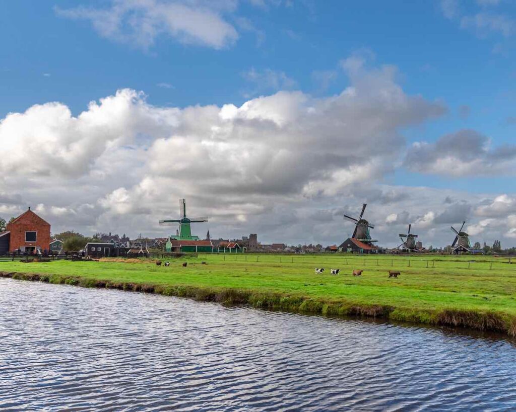 Campos verdas de Zaanse Schans na primavera